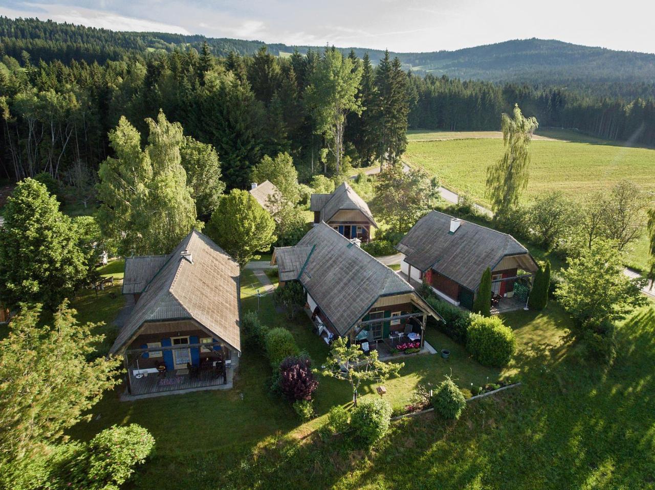 Ferienhaeuser Paunger Miesenbach  エクステリア 写真