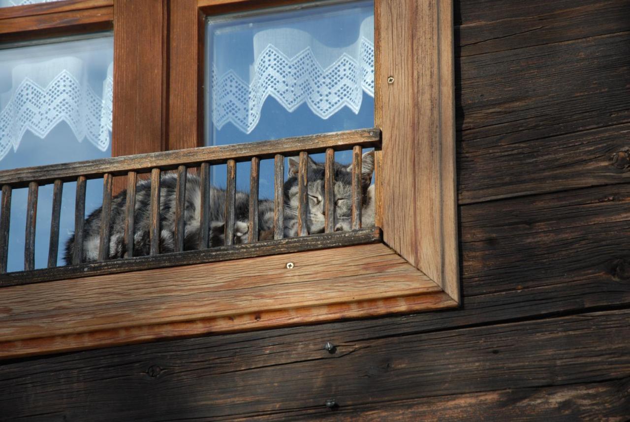 Ferienhaeuser Paunger Miesenbach  エクステリア 写真